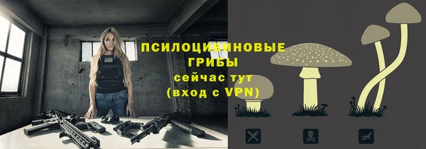 ALPHA-PVP Краснотурьинск