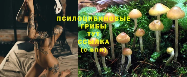 MDMA Краснослободск