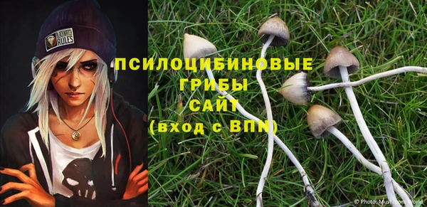 MDMA Краснослободск