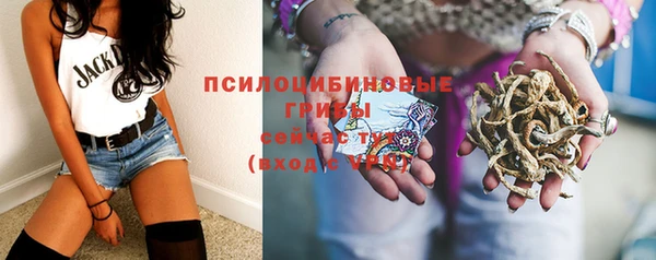 MDMA Краснослободск