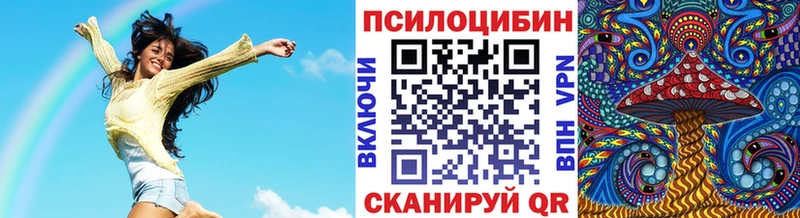 хочу наркоту  Пятигорск  Псилоцибиновые грибы Magic Shrooms 