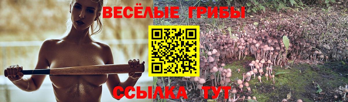 Псилоцибиновые грибы MAGIC MUSHROOMS  Пятигорск  Псилоцибиновые грибы мухоморы 