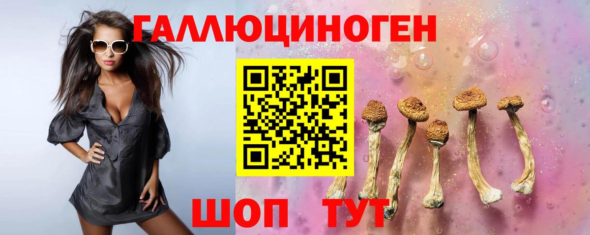 Псилоцибиновые грибы Psilocybe  Псилоцибиновые грибы Psilocybe  Пятигорск  Вход с VPN 