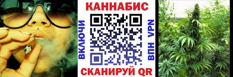 Шишки марихуана марихуана  OMG зеркало  Пятигорск 